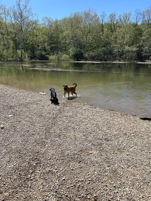 Fort Harrison State Park Dog Park photo 1